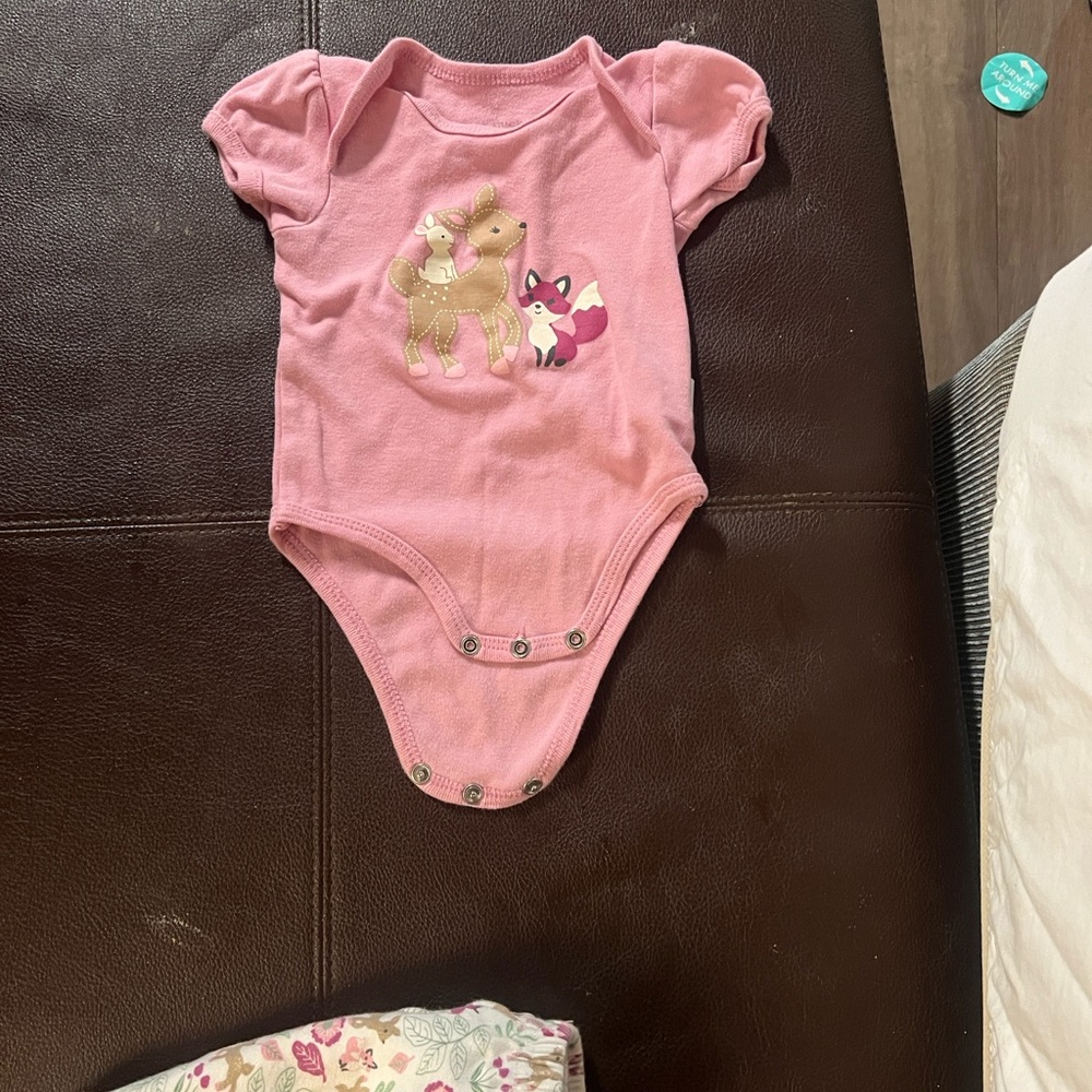 Charming Pink Bodysuit with Animal Friends
